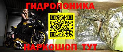 прущие грибы Севастополь