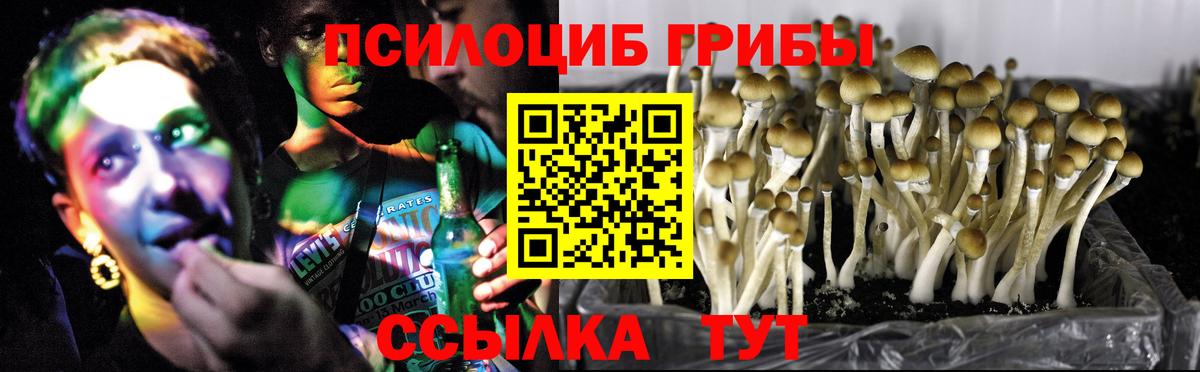 Галлюциногенные грибы прущие грибы  наркошоп  Вход с VPN  Оренбург  Галлюциногенные грибы GOLDEN TEACHER 